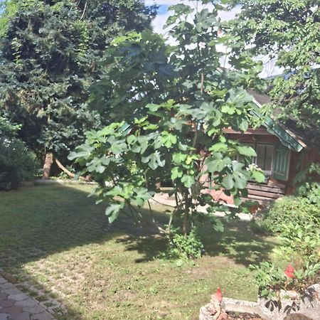 Villa Ganzes Haus Mit Almcharakter à Lieserbrücke Extérieur photo