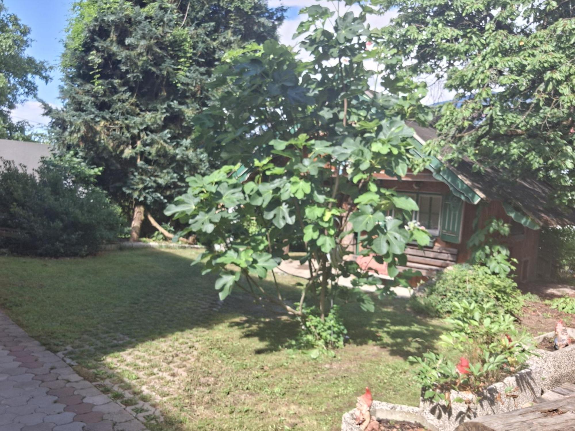 Villa Ganzes Haus Mit Almcharakter à Lieserbrücke Extérieur photo